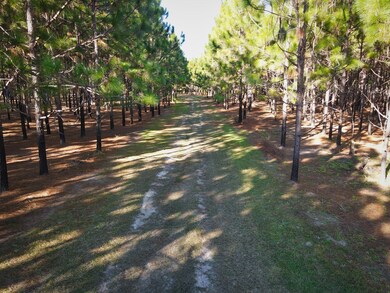 8995 Salem Rd, Pavo, GA 31778 - photo 4