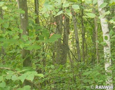 0 16th Ave unit 881556, Sumner Township, WI 54868 - photo 4