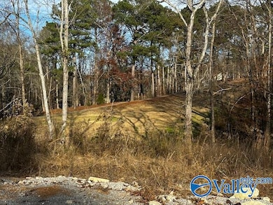 Lot 2 Oak Ridge Way, Cherokee Ridge, AL 35175 - photo 2