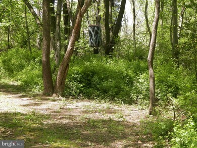 956 Glebe Rd, Earleville, MD 21919 - photo 2