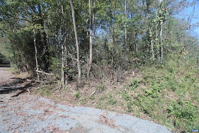 TBD 1 Toco Hill unit 20B0, North Garden, VA 22959 - photo 5