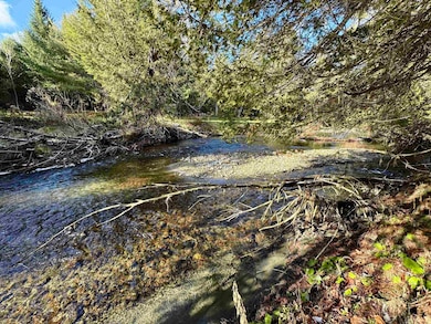 663 Ferguson Rd, Barnet, VT 05821 - photo 3