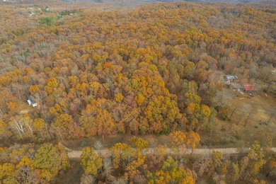 Lot 28 County Road 555 C, Bayou I Township, MO 65760 - photo 5