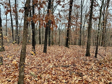 Lot 19 Block 8 Letchworth Dr, Bella Vista, AR 72714 - photo 4
