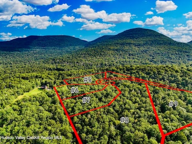 16 Corfu Rd, Hunter, NY 12427 - photo 4