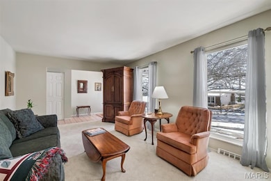 902 Rusticmanor Cir, Ballwin, MO 63011 - photo 6