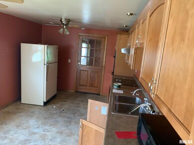 924 N Crafford St, Bushnell, IL 61422 - photo 4