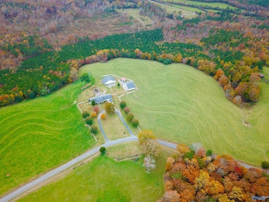 38.37 Acres Latham Rd, Eva, AL 35621 - photo 3