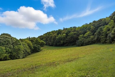 1907 Burke Hollow Rd, Nolensville, TN 37135 - photo 4