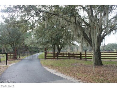 3001 Bateman Rd, Alva, FL 33920 - photo 3