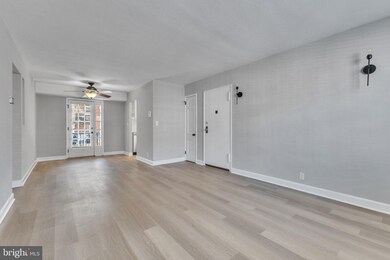 2930 S Buchanan St unit B1, Arlington, VA 22206 - photo 5