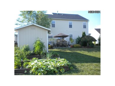 Back yard with tiered garden and shed.
