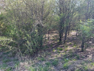 000 County Road 550, Brownwood, TX 76801 - photo 5