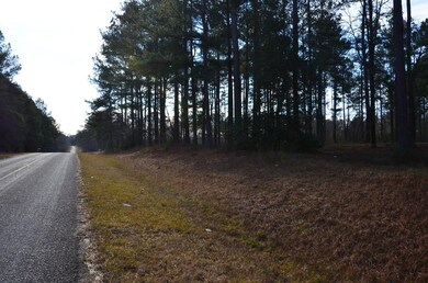 1911 White Rock Rd, Lincolnton, GA 30817 - photo 5