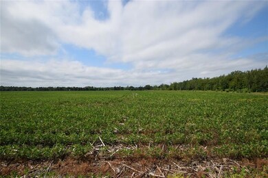 6701 County Road C, Oakland, WI 54830 - photo 3