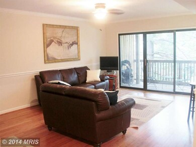 207 Skyhill Rd unit 5, Alexandria, VA 22314 - photo 4