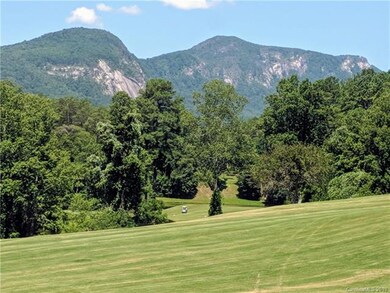 0 Whitney Blvd unit 6 3524207, Lake Lure, NC 28746 - photo 4