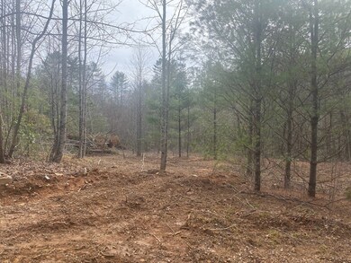 0 Flea Mountain Rd unit 417912, Murphy, NC 28906 - photo 4