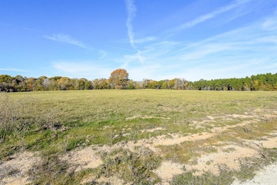 111 Buckhorn Creek Dr, Crockett, TX 75835 - photo 3