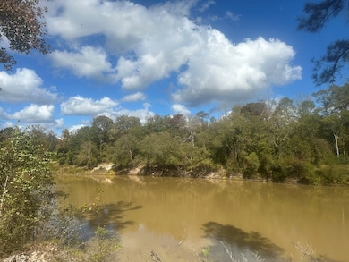 TBD Sam Rayburn Pkwy, Jasper, TX 75951 - photo 5