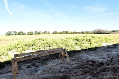 7128 Judge Logue Rd, Newton, AL 36352 - photo 5