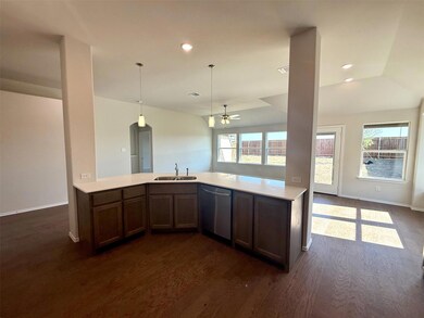 4505 Snakeweed St, Fort Worth, TX 76036 - photo 5