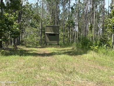 0 Bonds Rd, Roxie, MS 39661 - photo 5