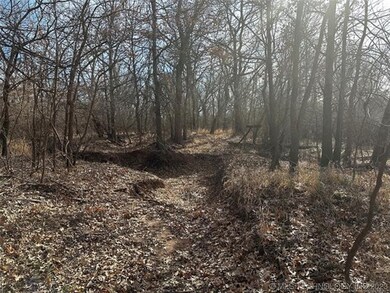 0 Webster Rd unit 2300877, Okmulgee, OK 74447 - photo 7