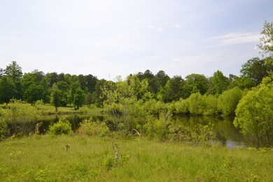 1170 Waterstone Dr, Madison, GA 30650 - photo 3