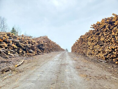 you go thru mill's log yard 1st