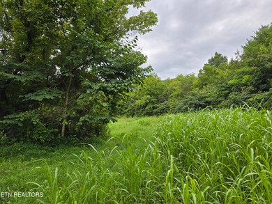 6835 Mulberry Gap Rd, Sneedville, TN 37869 - photo 4