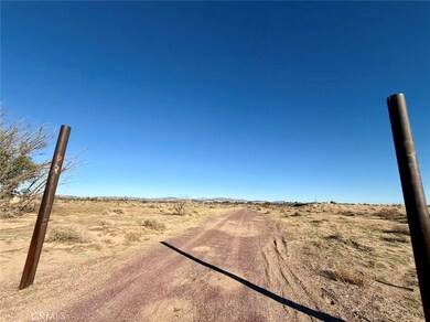 32467 Lakeview Ave, Newberry Springs, CA 92365 - photo 7