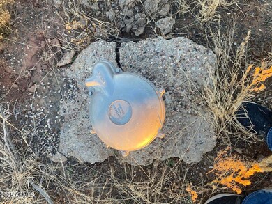 000 White Mountain Lake Rd unit F, Show Low, AZ 85901 - photo 2