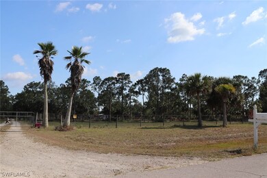 4244 E 24th St, Alva, FL 33920 - photo 6