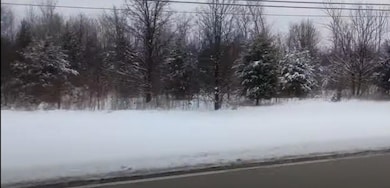 Vacant Lot W 167th St, Homer Glen, IL 60441 - photo 5