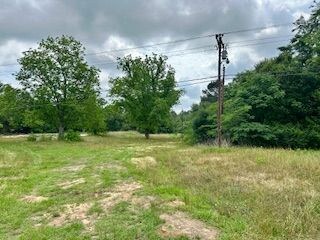 4773 Hi Truett Rd, Jasper, TX 75951 - photo 5