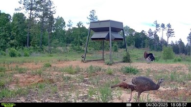 2 Cemetery Rd, Ecru, MS 38841 - photo 4