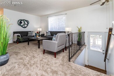 Bright and spacious living room.