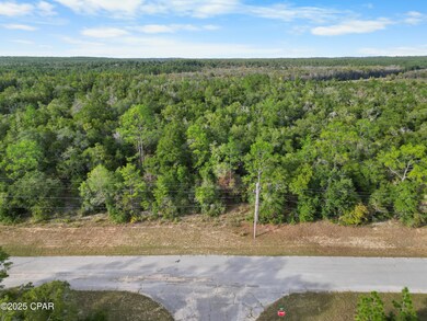 0 Gemini Cir, Chipley, FL 32428 - photo 5