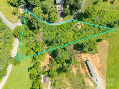 52 Gouges Branch Rd, Leicester, NC 28748 - photo 2