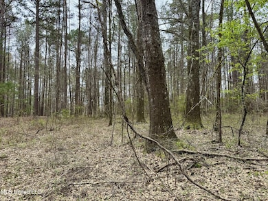 Robinson Rd Lot: 1, Canton, MS 39046 - photo 7