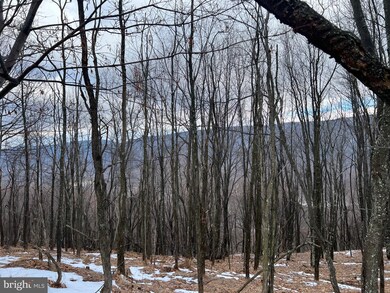 63 Sit Back Rd Off 93 E, Mount Storm, WV 26739 - photo 5