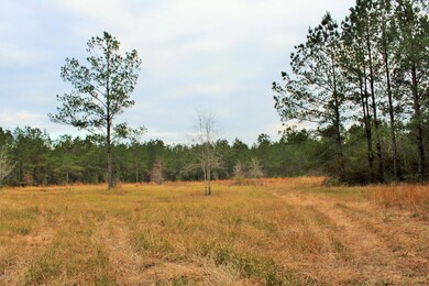 28.70 Cooks Corner, Lucedale, MS 39452 - photo 7