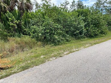 4265 4th Ave NE, Naples, FL 34120 - photo 5