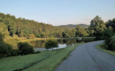 Additional View