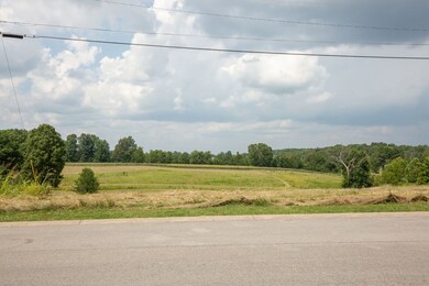 203 Johnstone Dr, Dickson, TN 37055 - photo 5