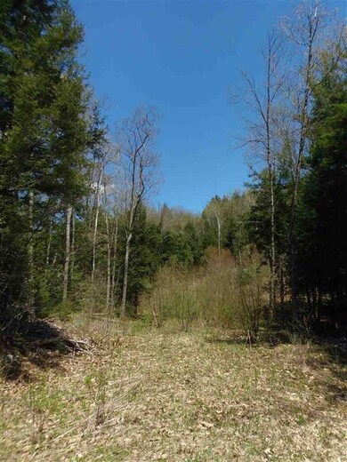 00 Old Swanzey Rd, Chesterfield, NH 03462 - photo 4