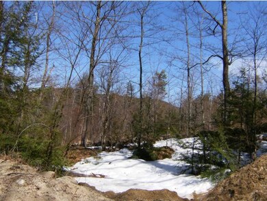 00-A Youngs Hill Rd, Freedom, NH 03836 - photo 3