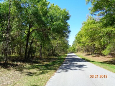 0 SW 95th St unit OM533598, Dunnellon, FL 34431 - photo 4