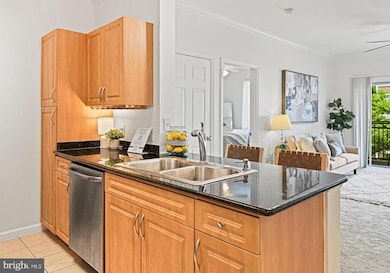 12954 Centre Park Cir unit 303, Herndon, VA 20171 - photo 6